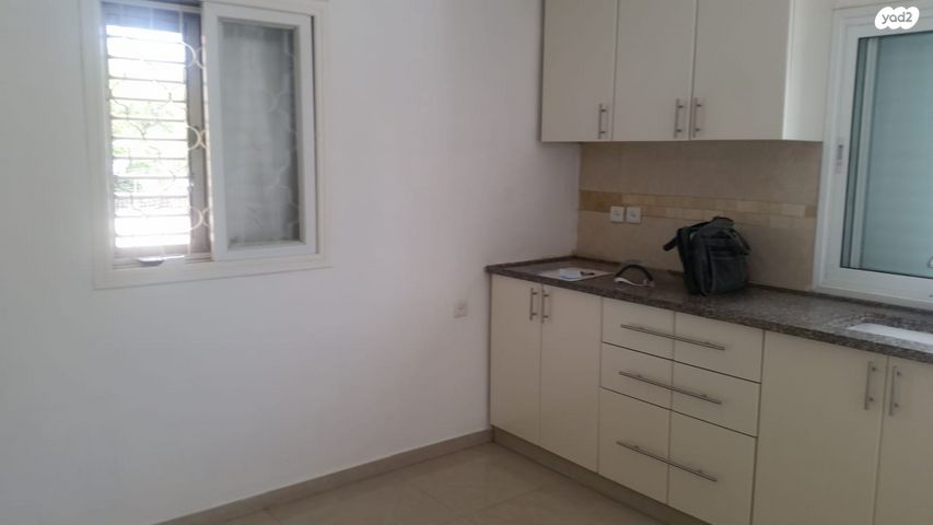 מקס וג'סי כהן 