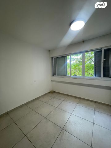 דוד וולפסון 