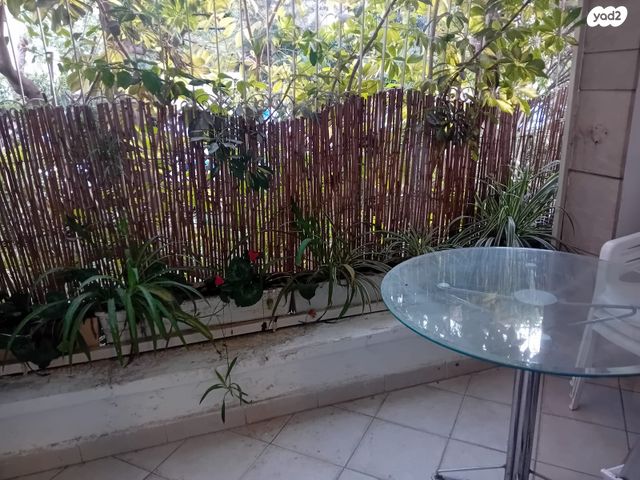 הרב חיים ברלין 