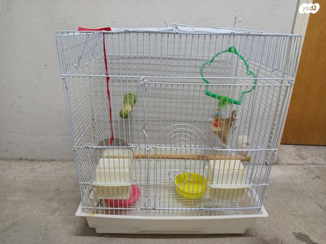 תמונת מודעה - חיות מחמד