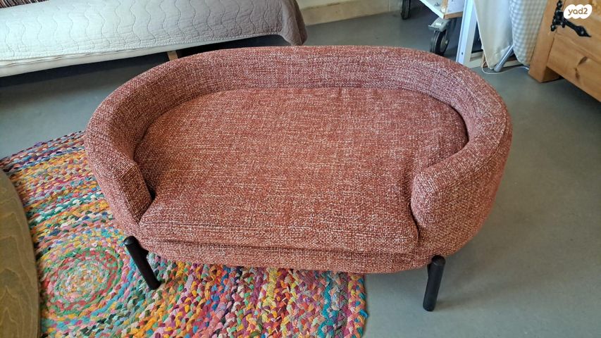 תמונת מודעה - חיות מחמד