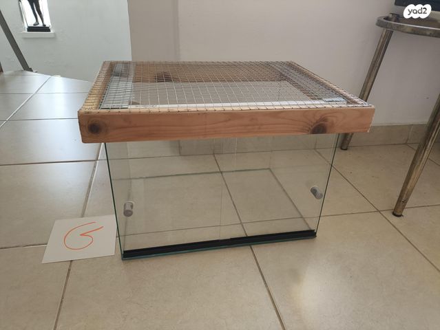 תמונת מודעה - חיות מחמד