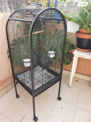 תמונת מודעה - חיות מחמד