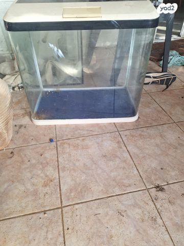 תמונת מודעה - חיות מחמד