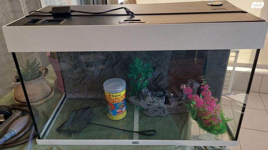 תמונת מודעה - חיות מחמד