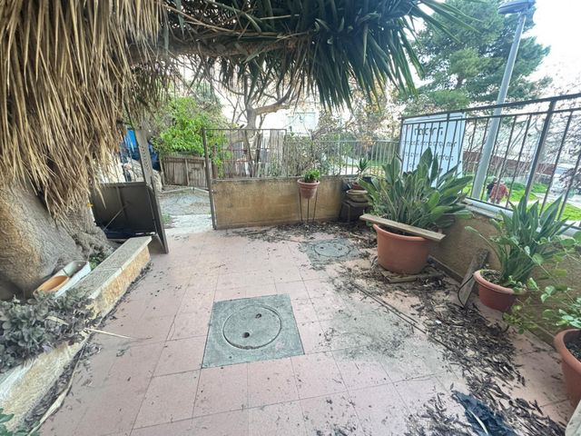 אלכסנדר רובוביץ' 312