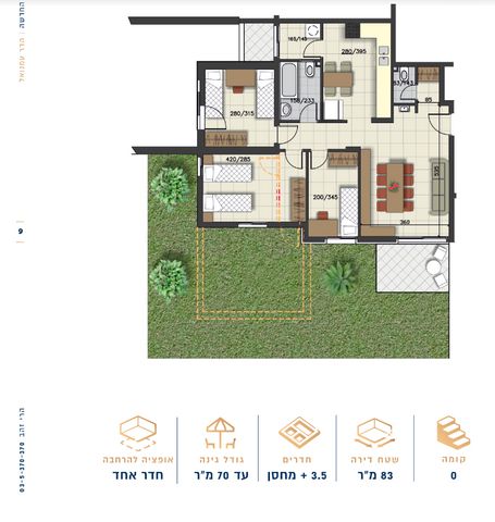 איילת השחר 8