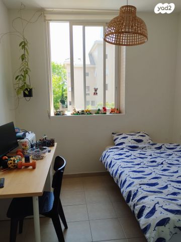 קדושי קהיר 14