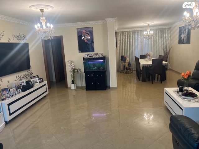 דוד אלעזר 13