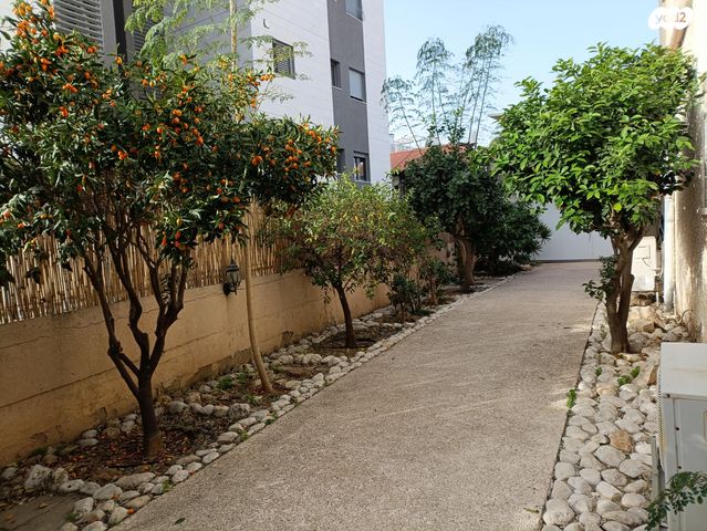 אריה בן אליעזר 18