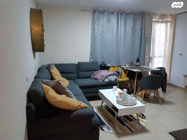 שלמה מילר 24