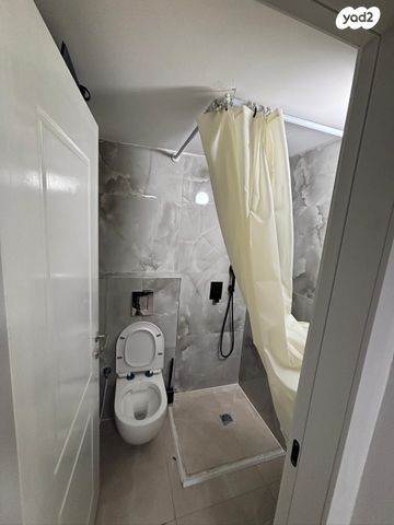 האדמו"ר מרוז'ין 11