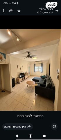 דוד פרנקפורטר 8