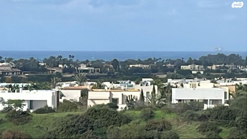 שדרות דוד המלך 62