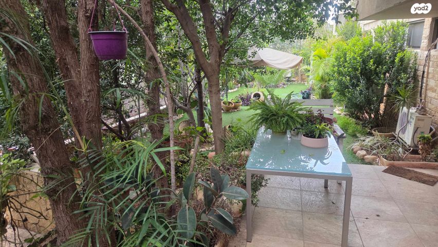 שיר השירים 30