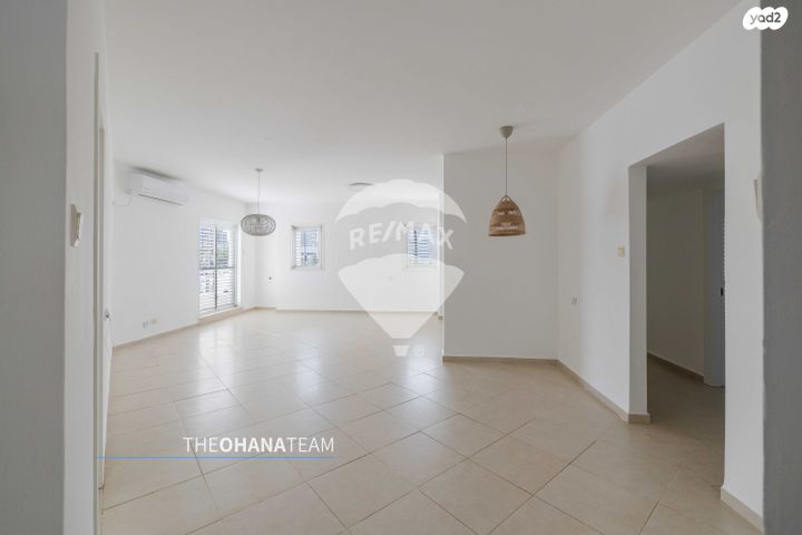 אירוס הארגמן 