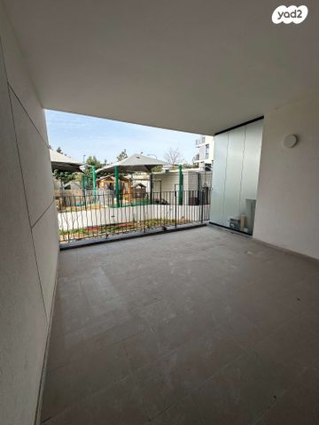 שלומציון המלכה 