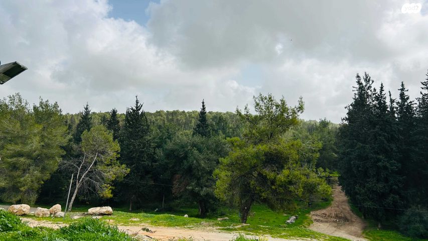 משק חקלאי/ נחלה