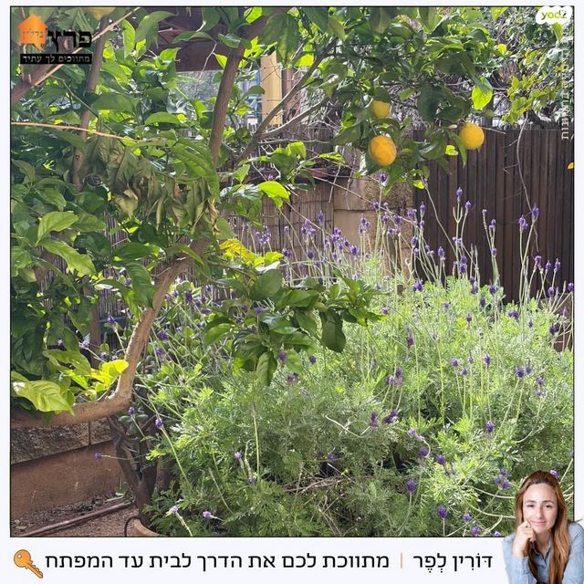 דו משפחתי