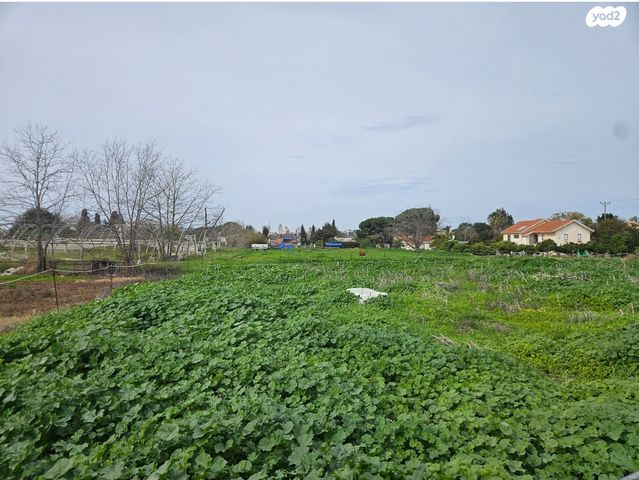משק חקלאי/ נחלה