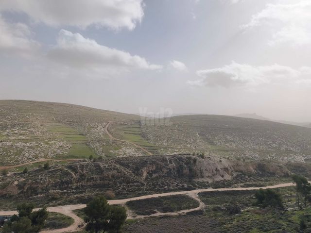 עמנואל זיסמן 