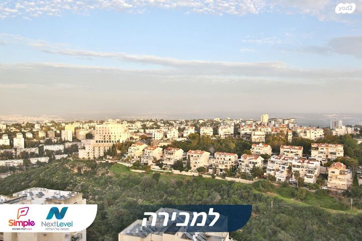 משה גוט לוין 