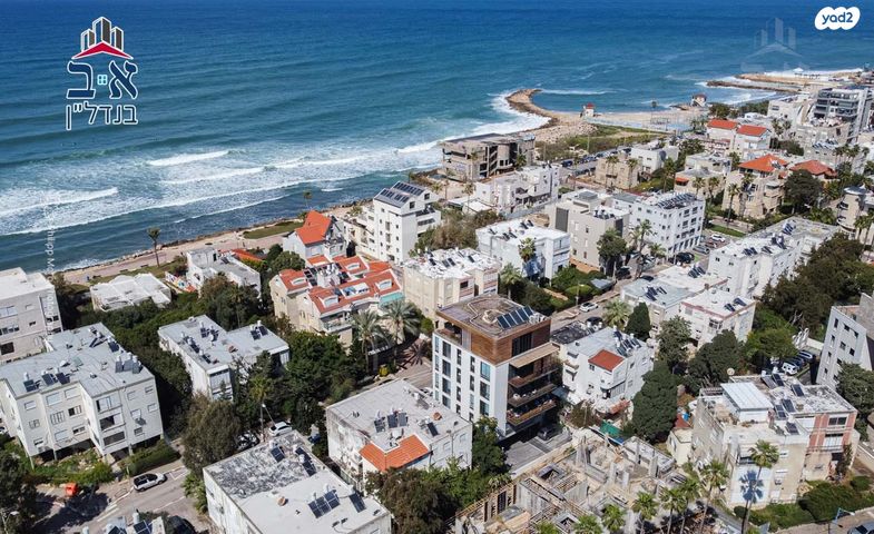 רציף אהרון רוזנפלד 