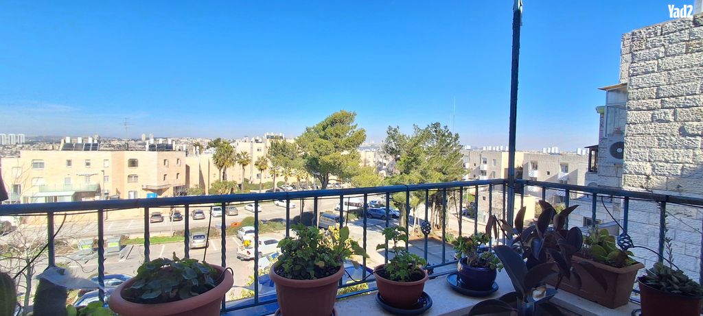 תירוש 