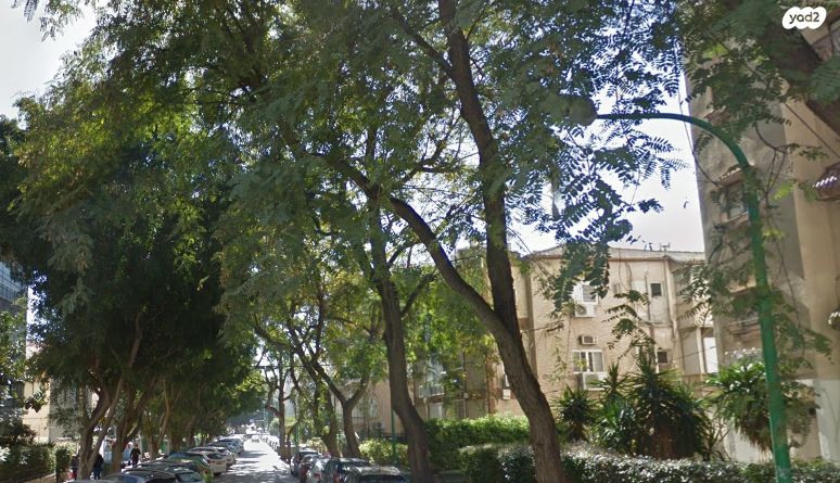 המרכז השקט / מרכז העיר