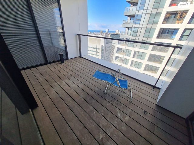 ליאונרדו דה וינצ'י 