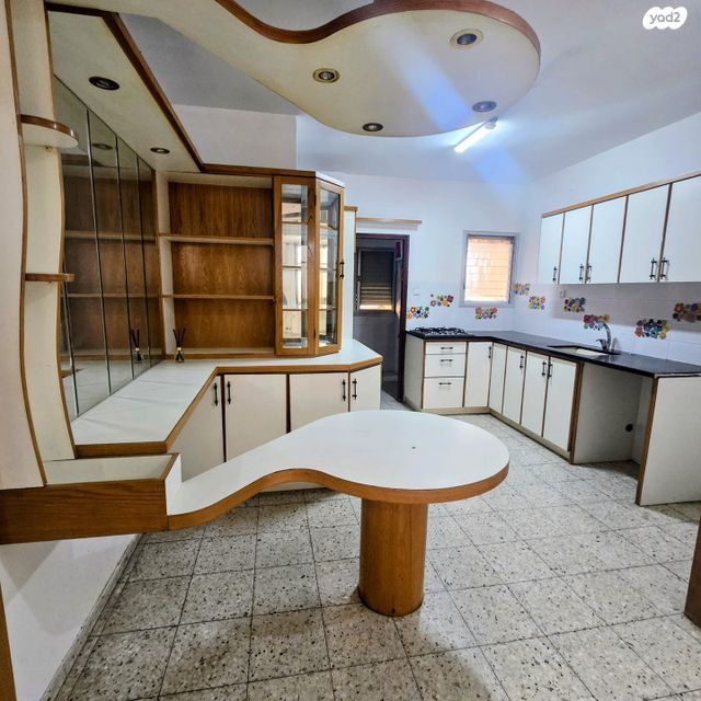 יהושע חנקין 