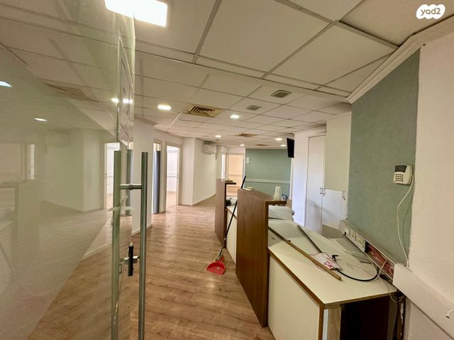 יהושע חנקין 