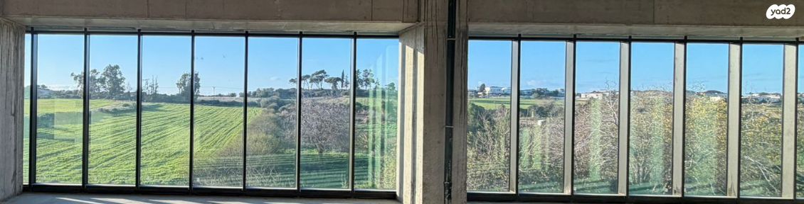 משרדים, פארק הורוביץ, רחובות