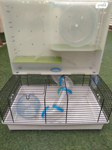 תמונת מודעה - חיות מחמד