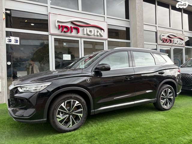 מודעת רכב בי.ווי.די סי ליון 05