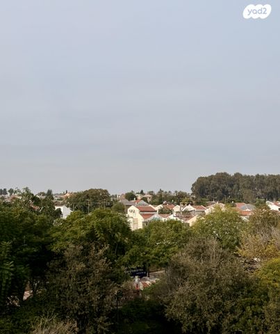 שדרות בגין 40