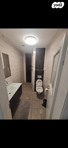 זאב ברנדה 55