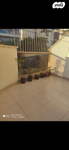 שמעון הצדיק 27