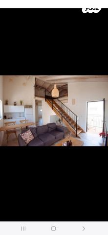 שביל האורן 1