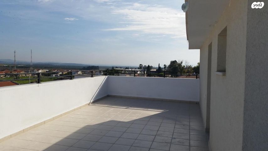 המלך שאול 15