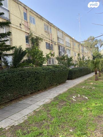 ברל כצנלסון 50