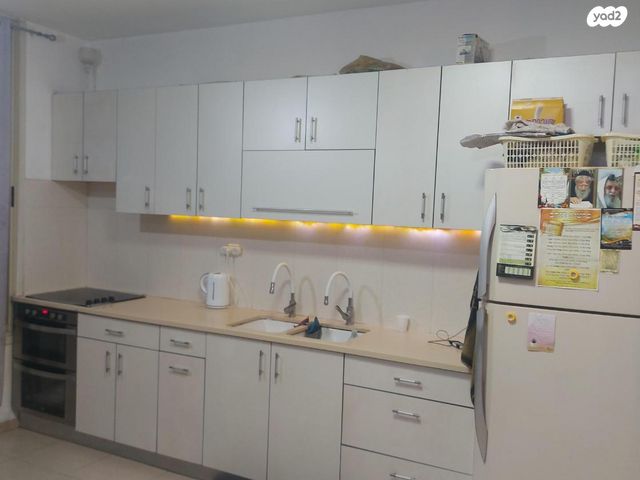 הרב הרצוג 17