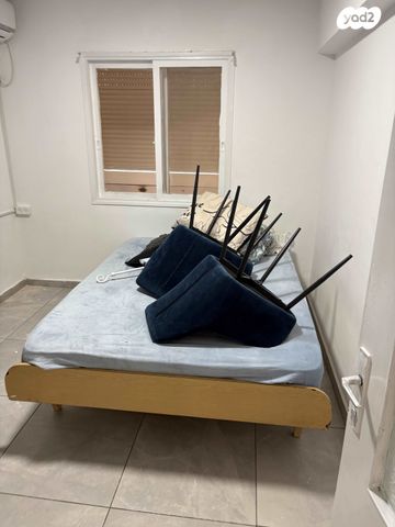 שבטי ישראל 26