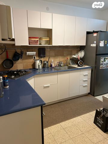 אלימלך רימלט 