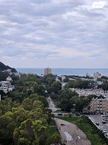 כיכר מאירהוף 8