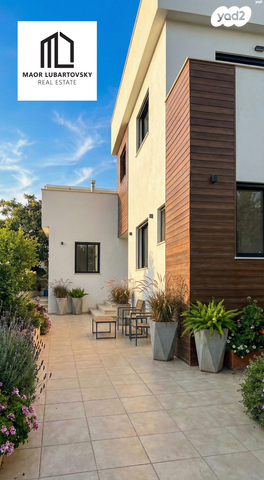 קרית האמנים, מצליח