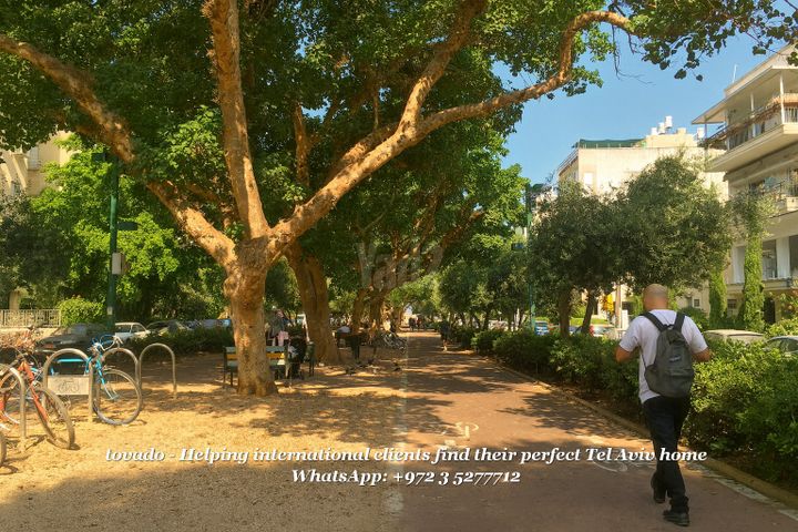 הצפון הישן - דרום