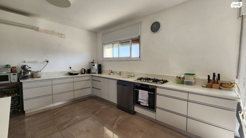 דוד אלרואי 5