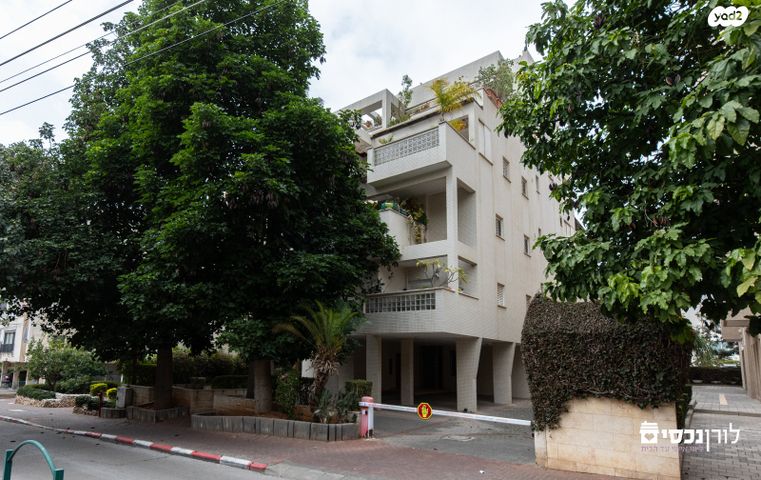 ש. בן ציון 31