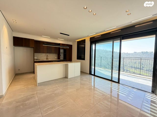 אבנר חי שאקי 